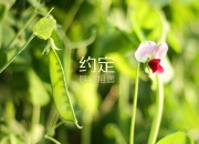 开云体育入口-布罗佐维奇的致命一击，2026世界杯E组生死战，瑞士绝境中险胜智利，进攻端全面爆发改写小组格局