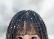 开云体育-郁金香的绝地绽放，当费利克斯点燃橙色风暴，2026世界杯C组上演神逆转