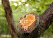 开云体育登录-铁骑踏碎迷城，国际米兰火力全开，欧冠淘汰赛焦点战碾压巴拉圭