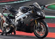 开云APP-黑马铸就历史，巨星定义永恒—体育世界唯一性的双重奏