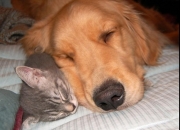 开云官网-这一夜，定义传奇，莫兰特如何成为硬仗之王