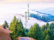 开云体育登录-吉林冰雪风暴袭击高原，范弗利特末节狂飙掀翻掘金