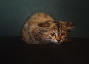 开云体育在线-提前宣判与错失良机，乌拉圭终结悬念，萨拉赫化身克罗地亚关键先生