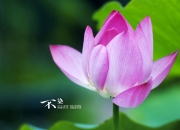 开云体育平台APP-孤岛与灯塔，西决生死战之夜的欧文启示录