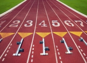 开云体育官网-冰封的火焰与数据怪兽，当挪威斩落阿根廷，卢卡库正用数字重构锋线法则