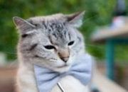 开云体育app-篮球世界的两种统治力，恩比德的无解与广东队的无懈