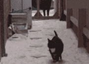 开云平台-绝境逆袭！小贾伦封神夜，灰熊压哨击溃独行侠