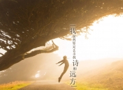 开云平台-橙色郁金香与枫叶的对决，凯塞多如何一锤定音，点亮荷兰的血拼之夜