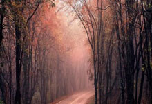 开云体育平台APP-终场前的一刀寒光，帕尔默如何刺穿阿尔及利亚的群山防线