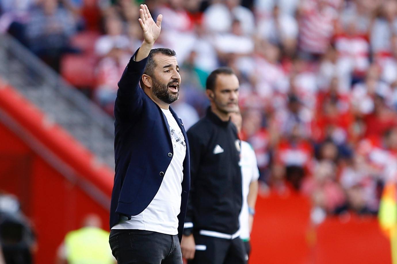 关于格拉纳达抢分成功,增加保级优势的信息 关于格拉纳达抢分成功,增加保级优势的信息