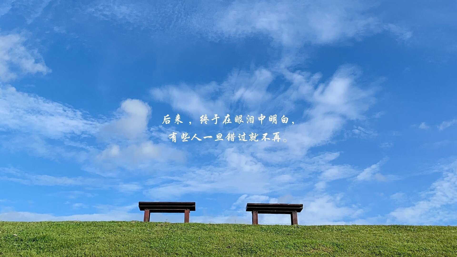 桑巴与寒带的交响，坎特以沉默统治绿茵，巴西在冰原奏响技术赋格