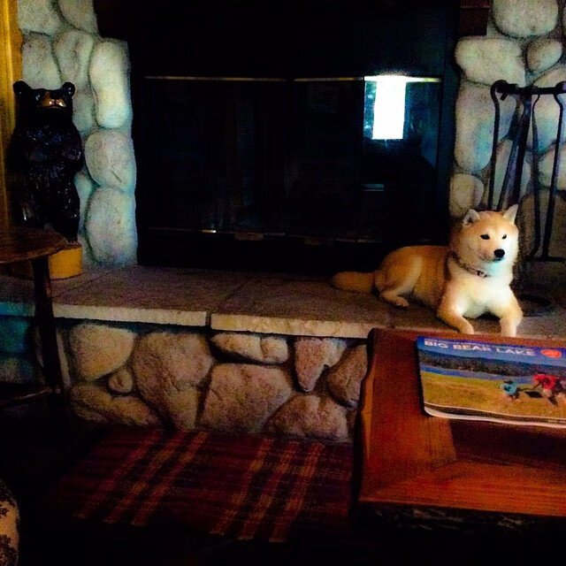 双线制胜，当詹姆斯末节19分照亮球场，森林狼让二追三定义电竞传奇