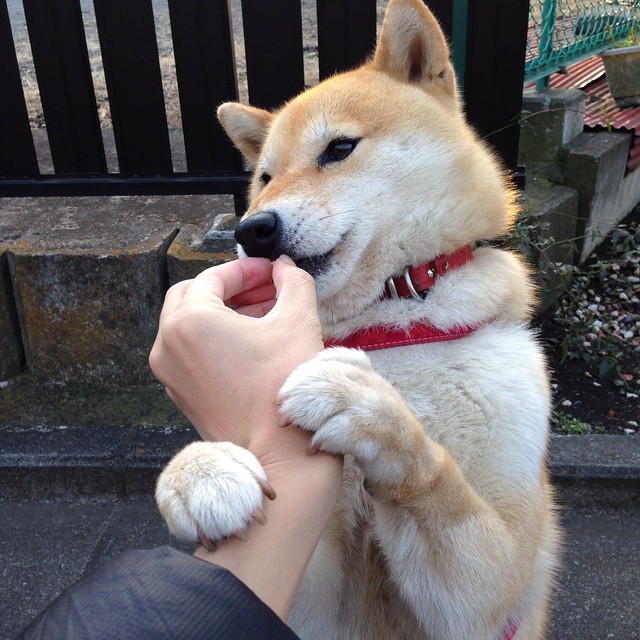 班凯罗43分点燃奥兰多，魔术顶住掘金反扑夺赛点