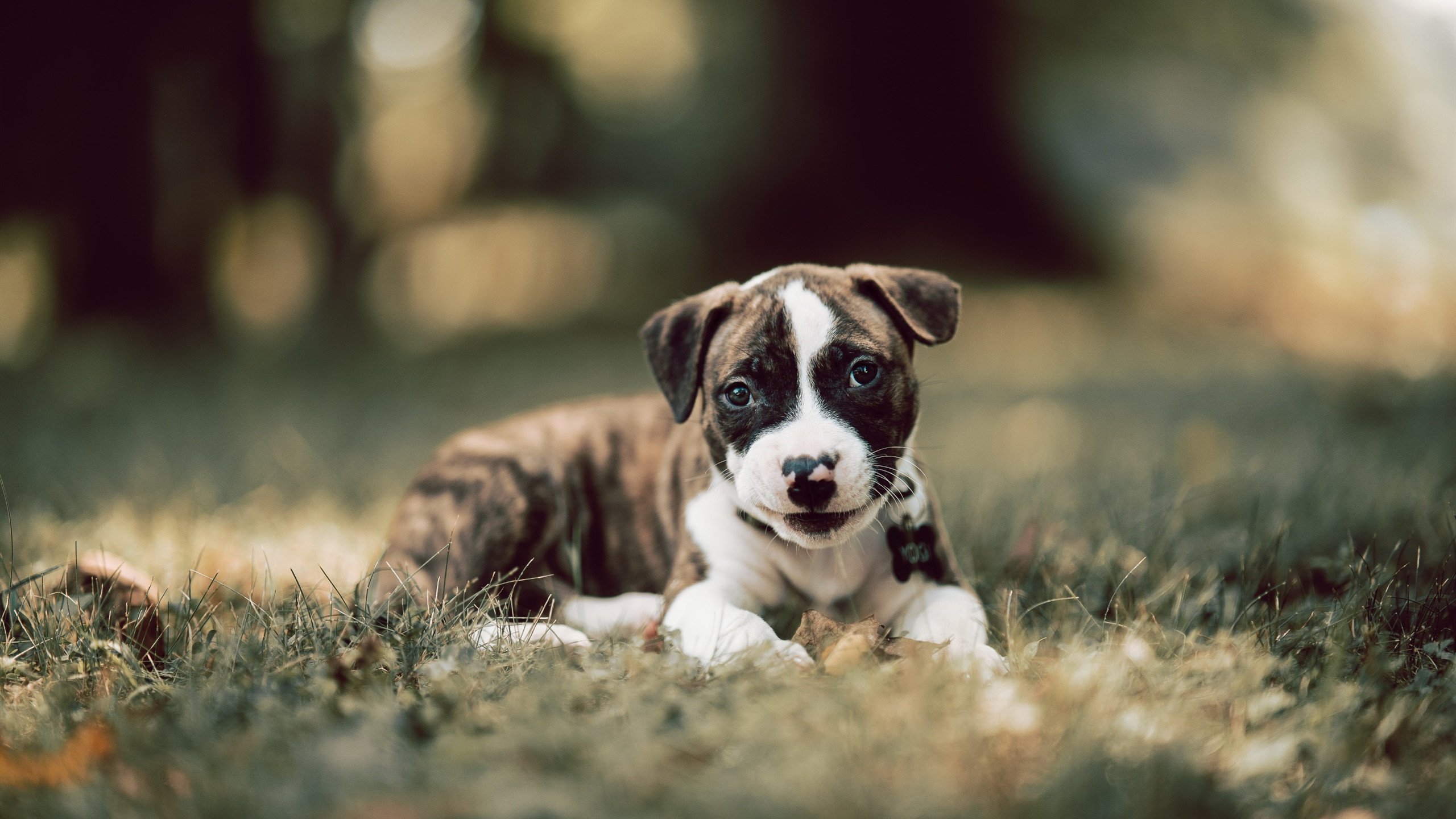 让我为你构思一个更有吸引力的标题