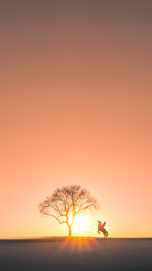 阿克,跨越历史的盾牌与剑—苏格兰对阵罗马的现代绿茵史诗