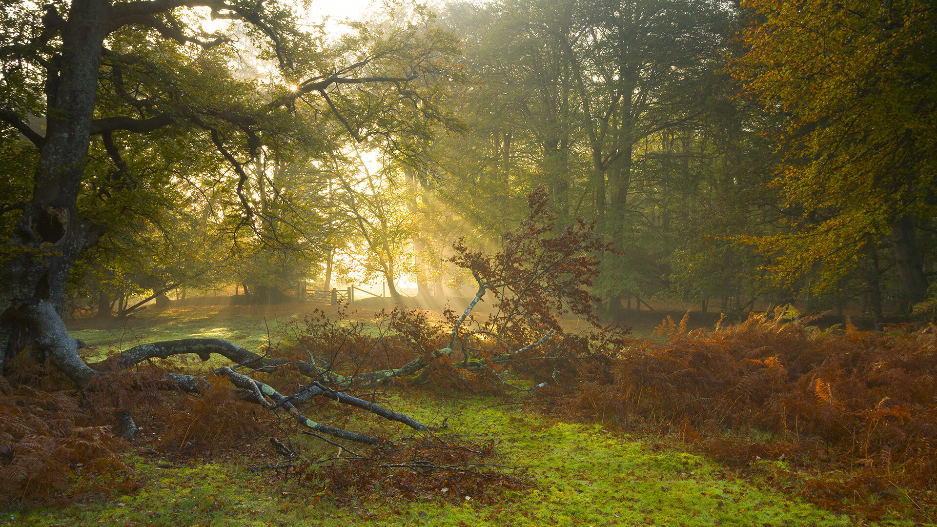 双线传奇，从费城压制到欧冠接管—领袖力的跨域诠释
