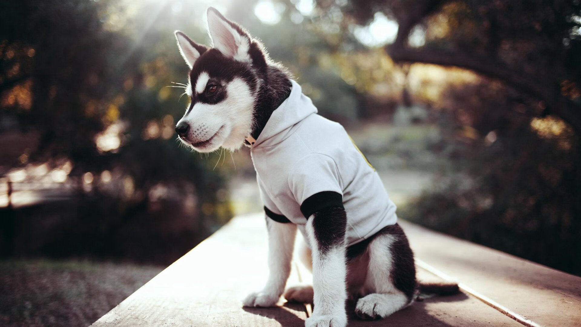 绝杀时刻，哥斯达黎加在奥运关键战中最后一刻战胜土耳其，改写预选赛格局