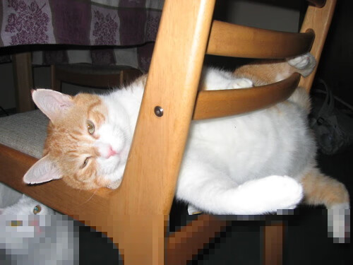 绿茵英雄谱，英格兰关键战突围安哥拉，劳塔罗欧冠半决赛一战封神