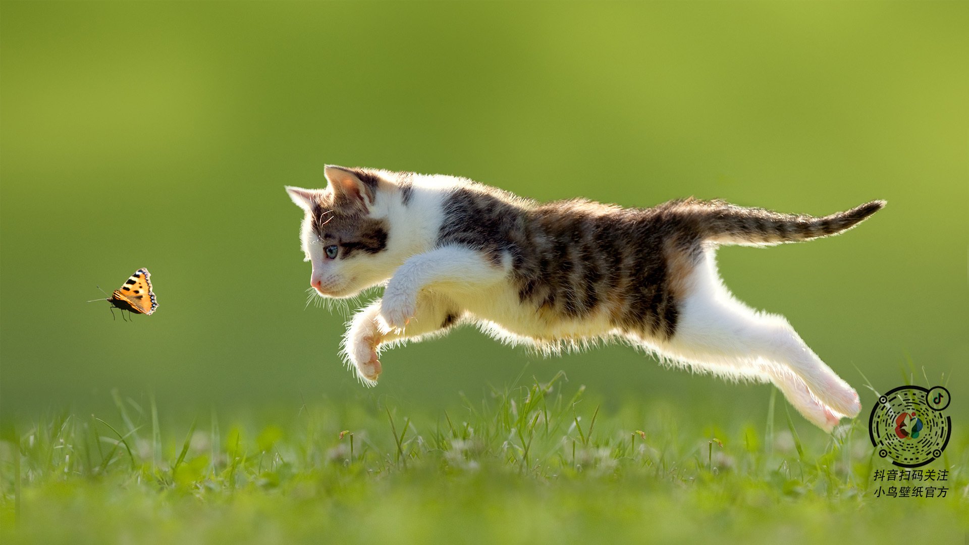 锡安临危受命化身关键先生，火箭险胜掘金迎赛季转折点