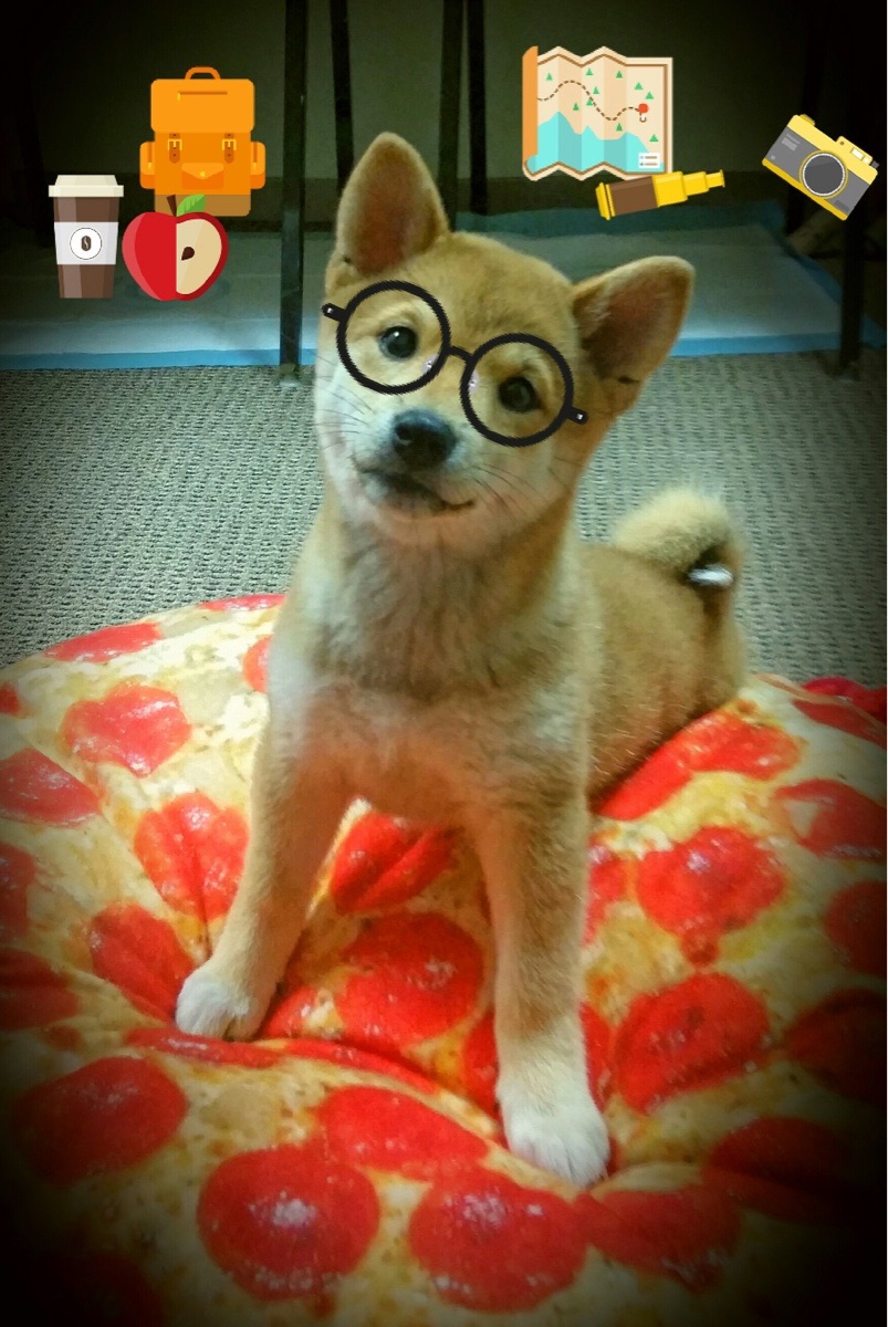 奇袭麦德伦，黄喜灿统治全场，摩洛哥战术风暴完胜伊朗