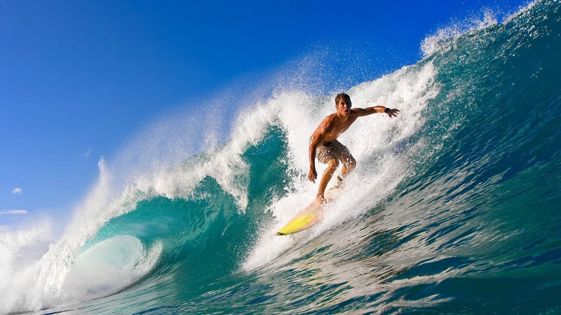 当足球遇上赛车，阿尔及利亚的绿茵奇迹与莱万的赛道霸权