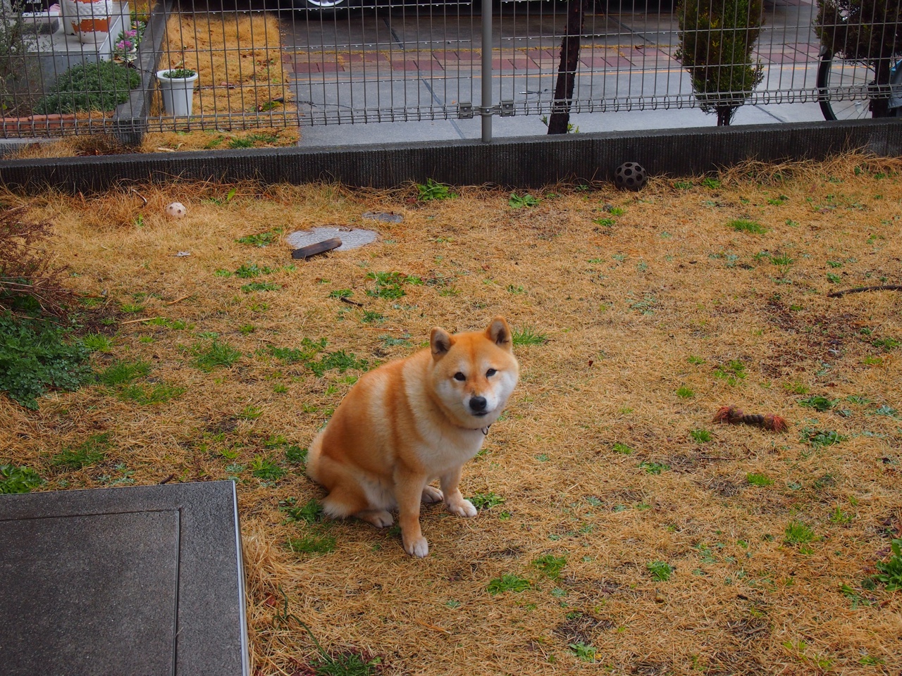 绞索与舞步，当技术殖民的逆流吞噬旧帝国