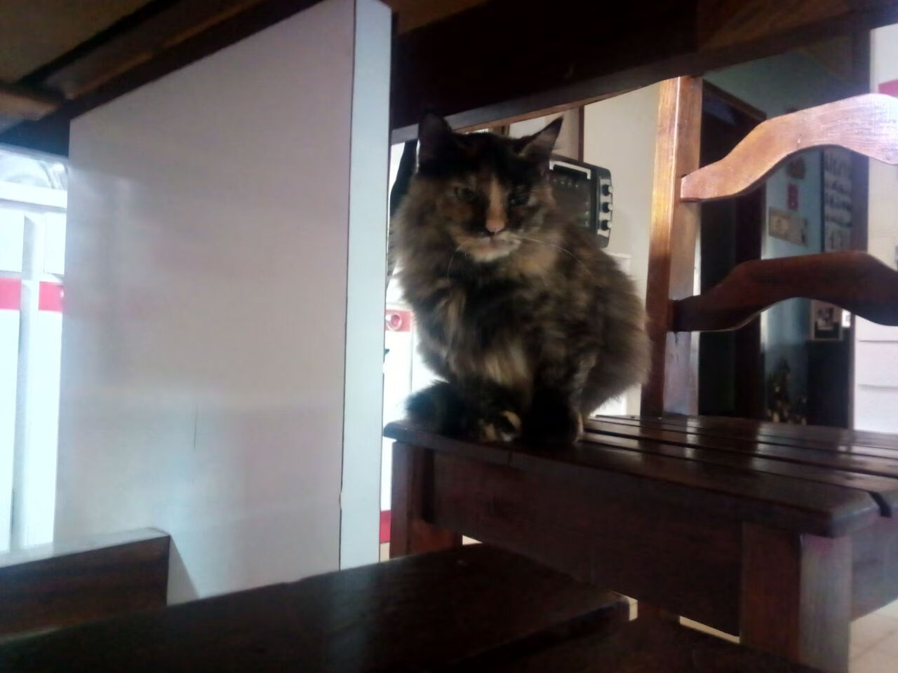 布伦森案例教学现场，吉林队正面击溃山西队的战术解析