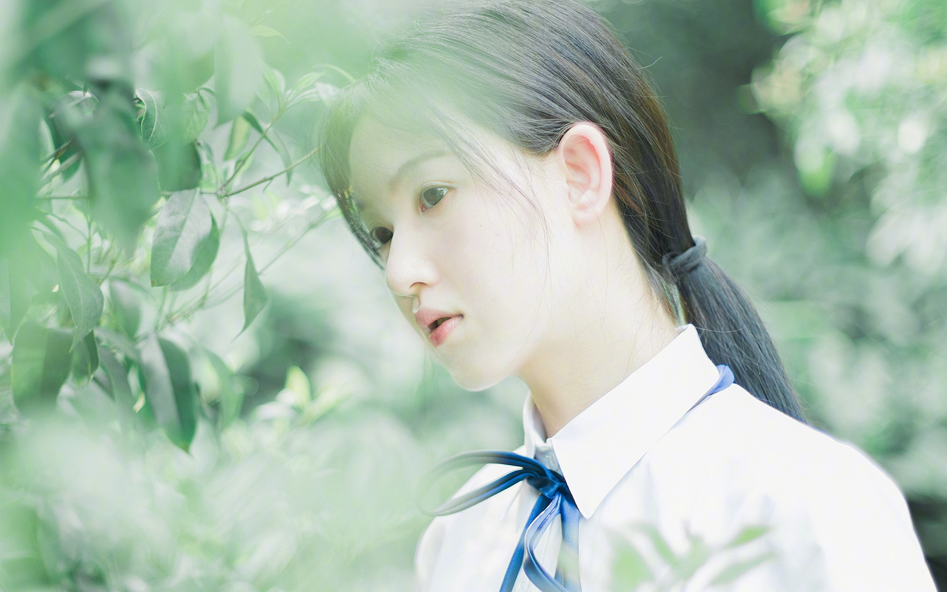 北境之王血战孟菲斯，浓眉封神夜，凯尔特人强行终结灰熊王朝余晖