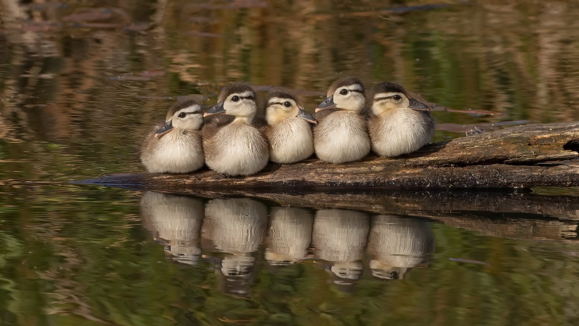 塔图姆一人改写剧本！广东铁幕下，山西窒息之夜