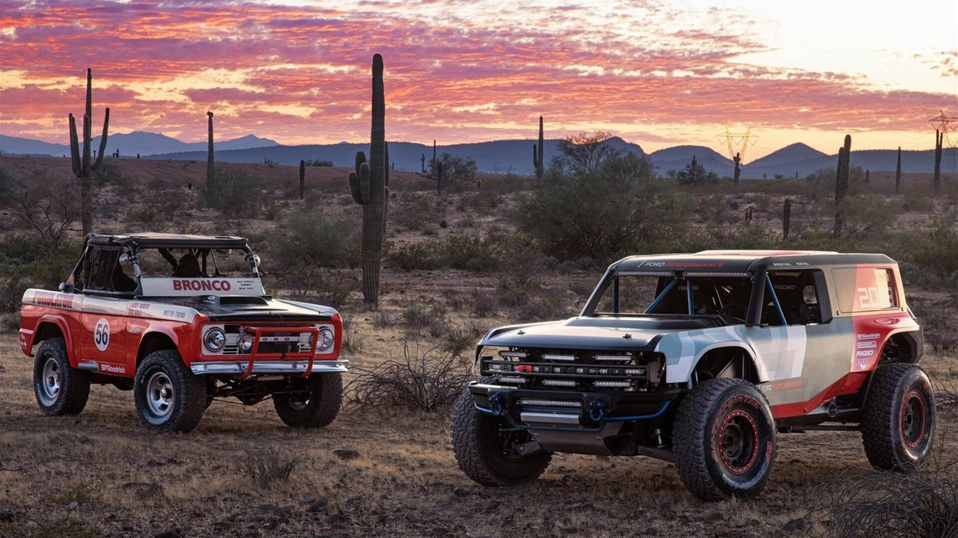 暗夜破晓—贝恩化身锋锐匕首，森林狼速胜撕破快船防线