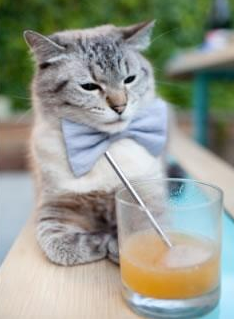 篮球世界的两种统治力，恩比德的无解与广东队的无懈