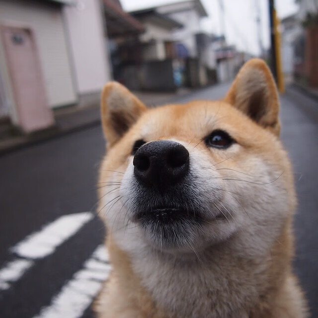 凯塞多的渡河时刻，当韩国铁骑在梦剧场击碎红魔的叹息