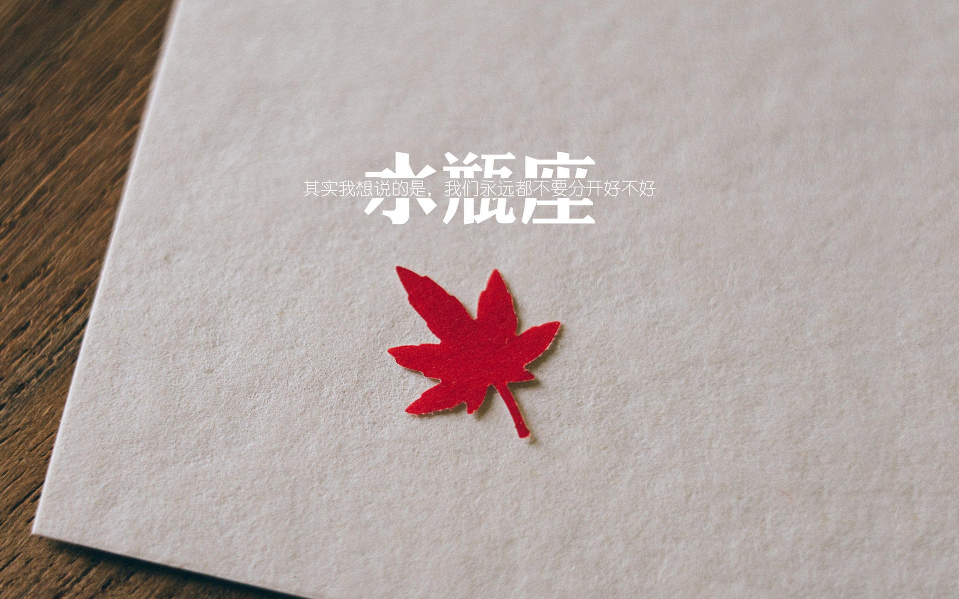 足球世界的共振，从德甲争冠夜到伊拉克的荣耀之战