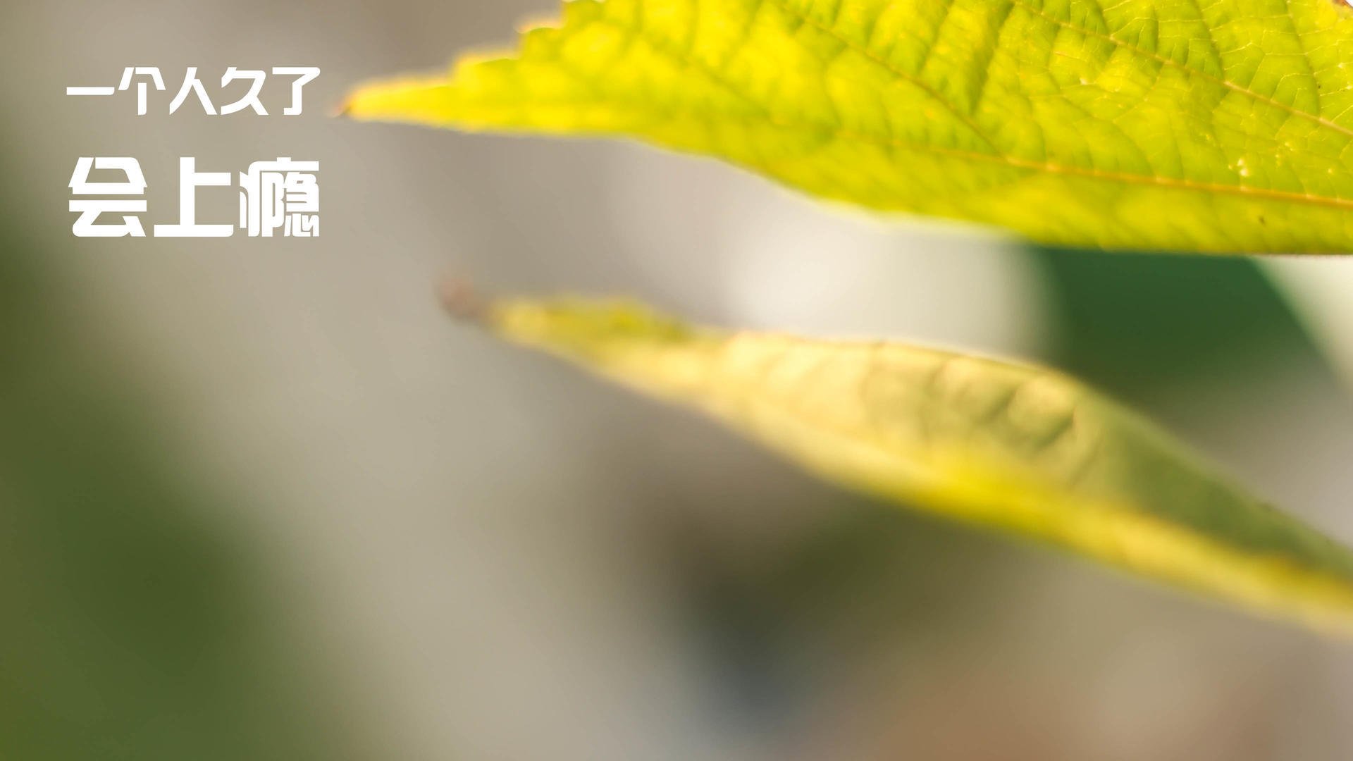 加维封神夜！里昂2-1国际米兰夺队史首冠，诺坎普见证奇迹