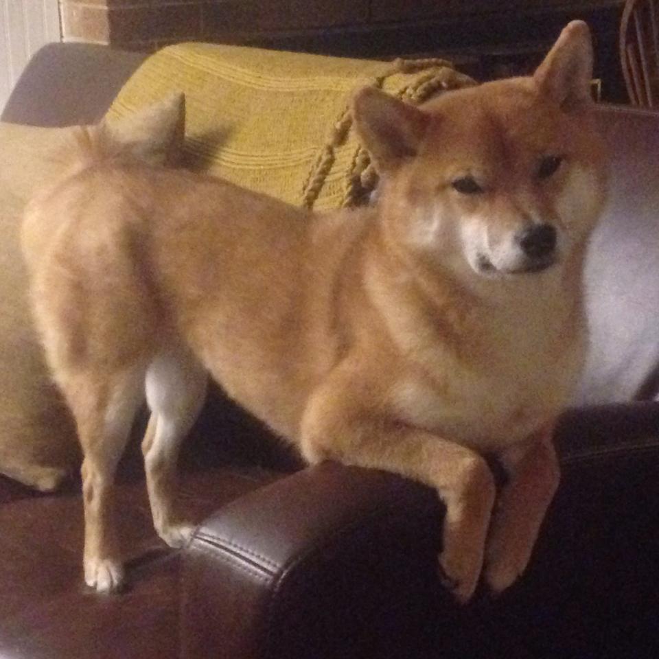 当非洲雄鹰遇见红蓝军团，莫德里奇的时间游戏