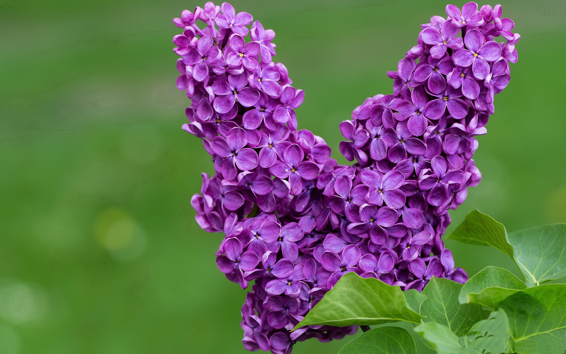 平行宇宙的篮球狂欢，骑士与辽宁的地球德比引发跨界风暴