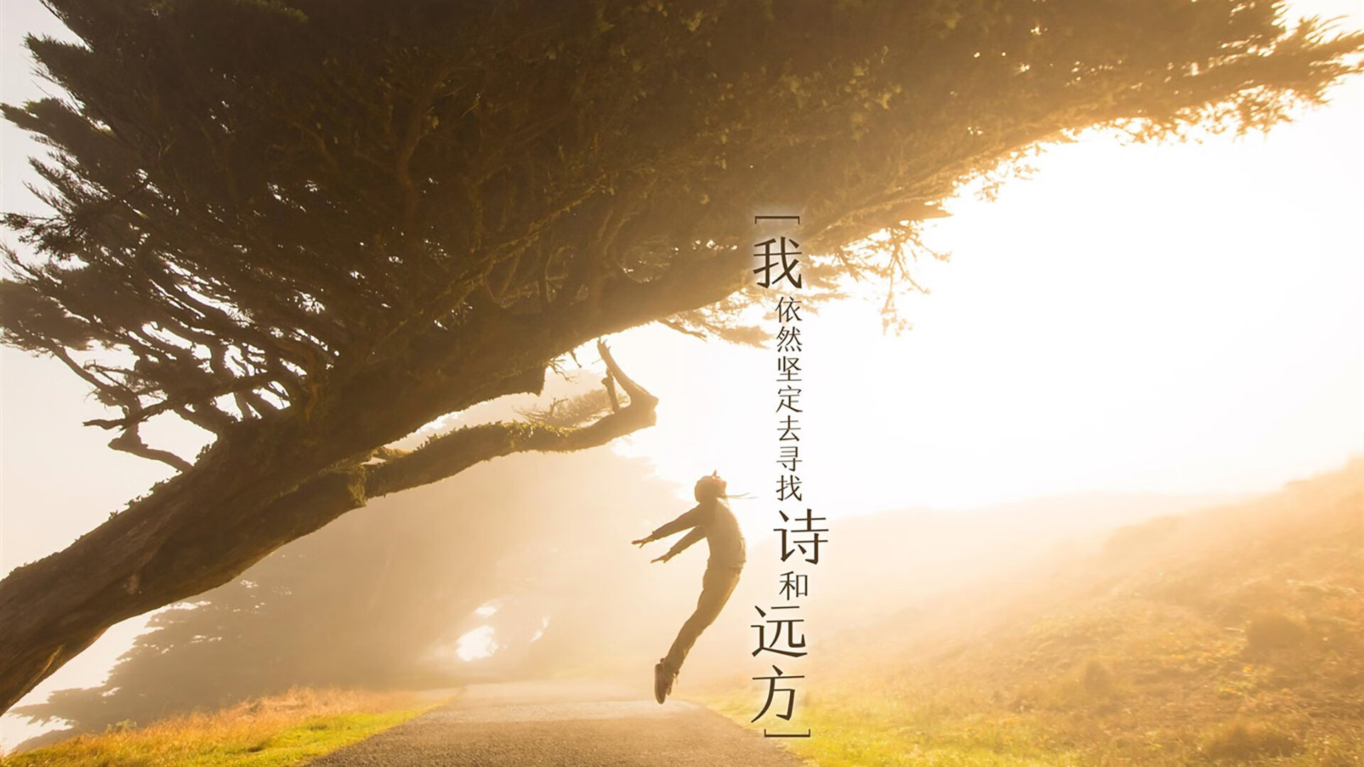 橙色郁金香与枫叶的对决，凯塞多如何一锤定音，点亮荷兰的血拼之夜