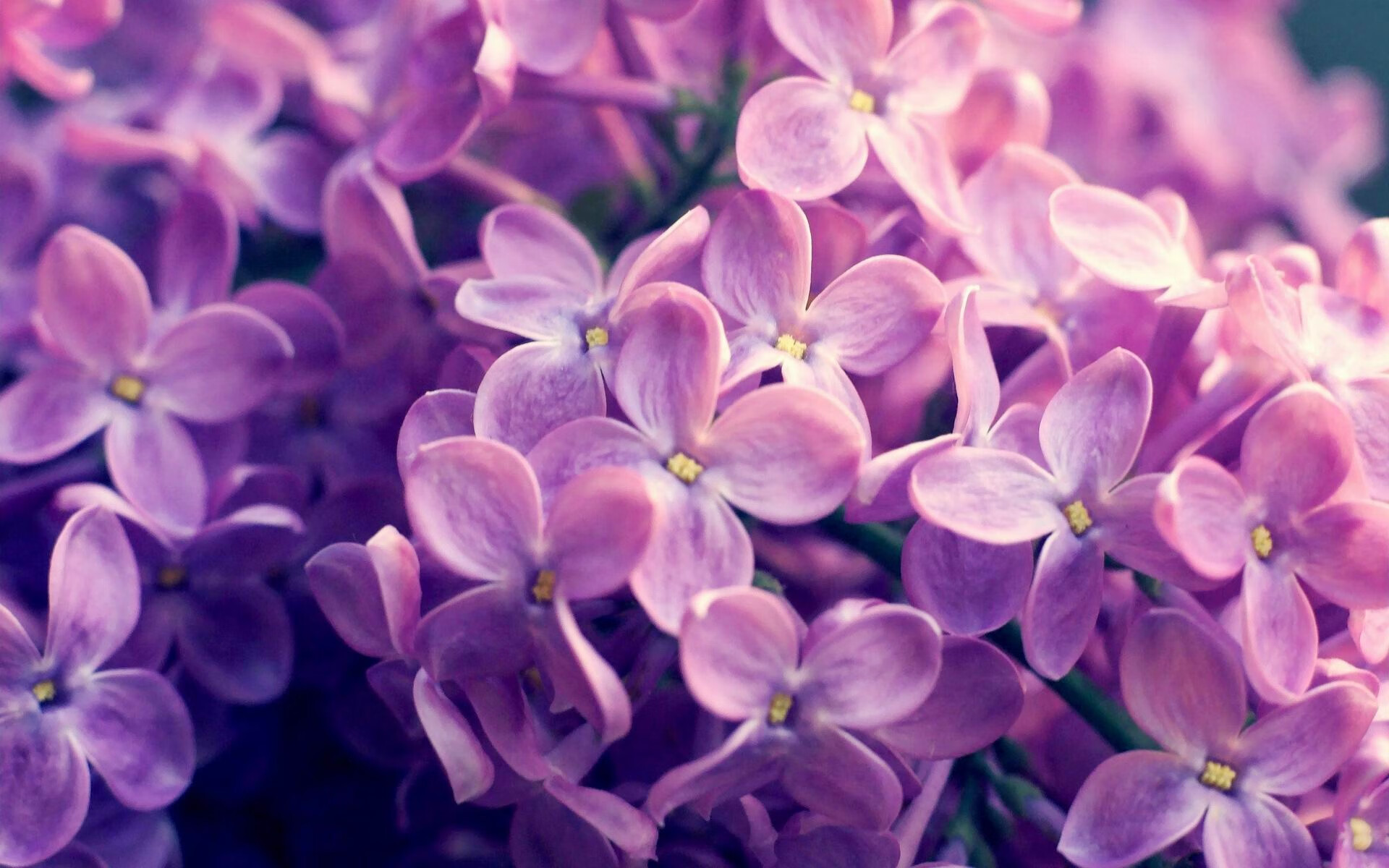 莫德里奇的永恒舞步与威尔士的屠龙术，足球宇宙中两种反抗的诗学