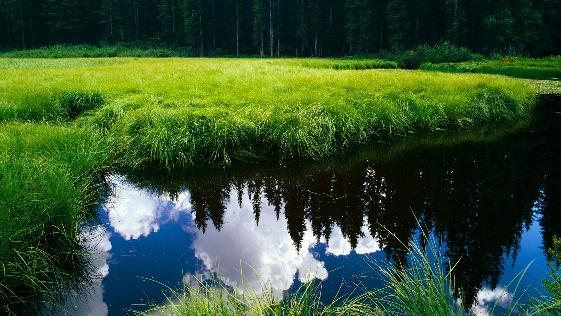 让我们来完成这个挑战