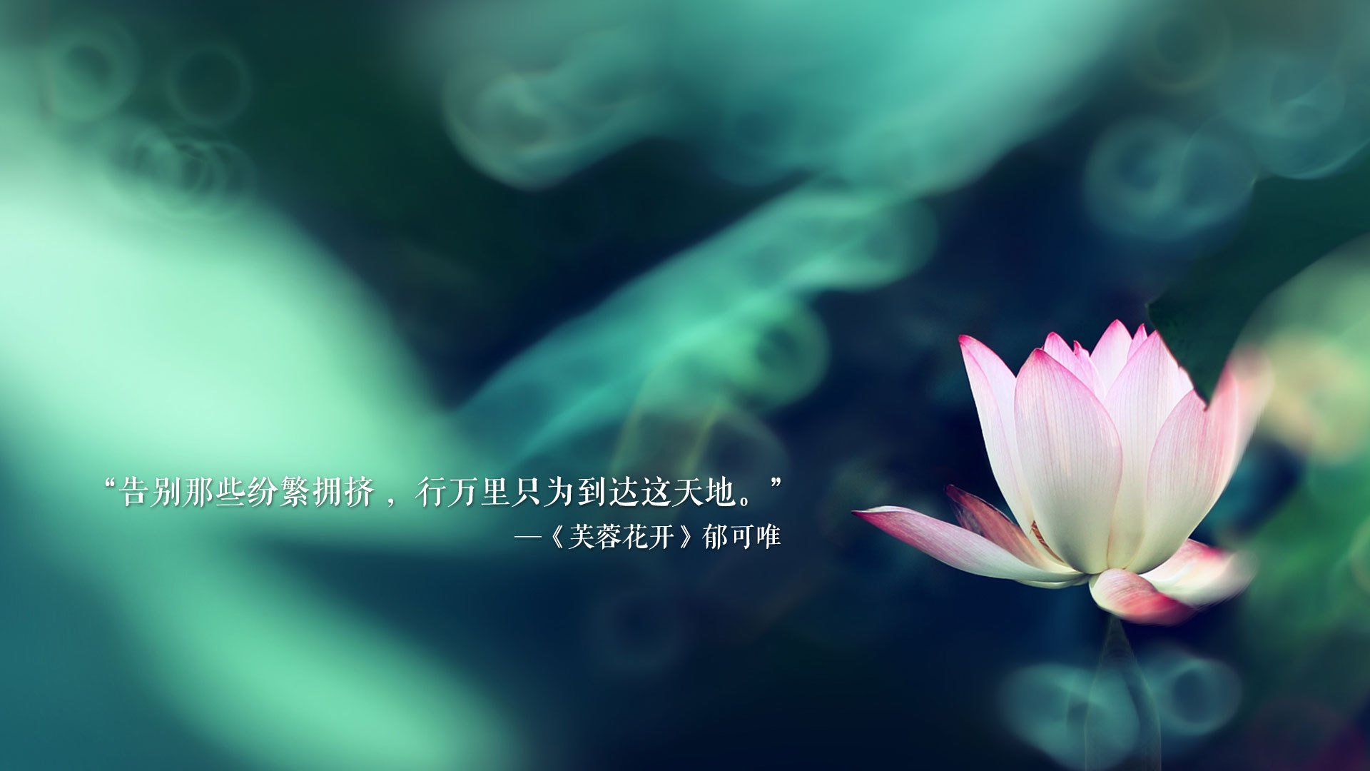 双星记,当加纳的钢铁意志窒息高卢雄鸡,努涅斯在诺坎普的废墟上加冕
