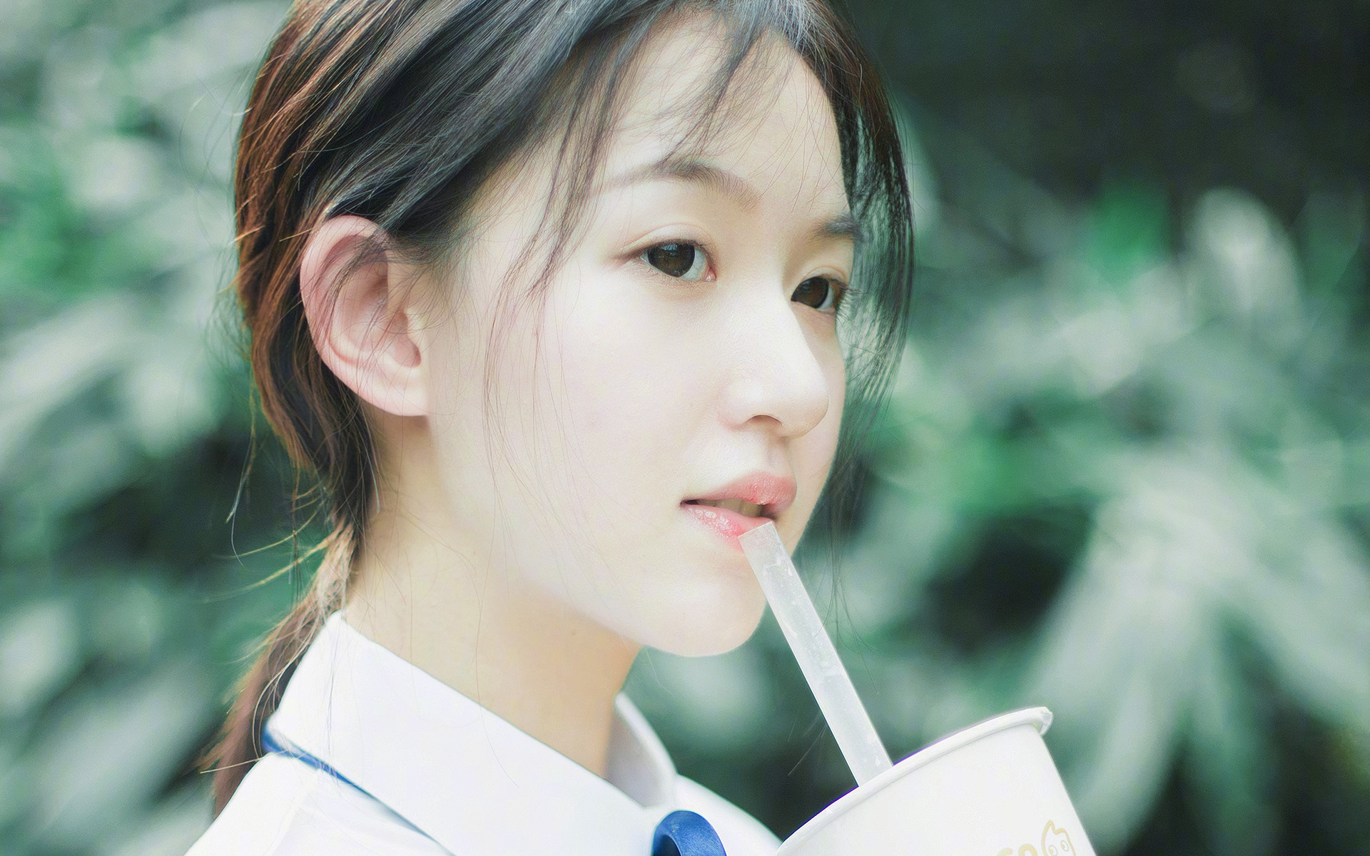美洲豹的致命獠牙，2026世界杯，当B费完成绝杀，荷兰郁金香在美利坚寒风中凋零