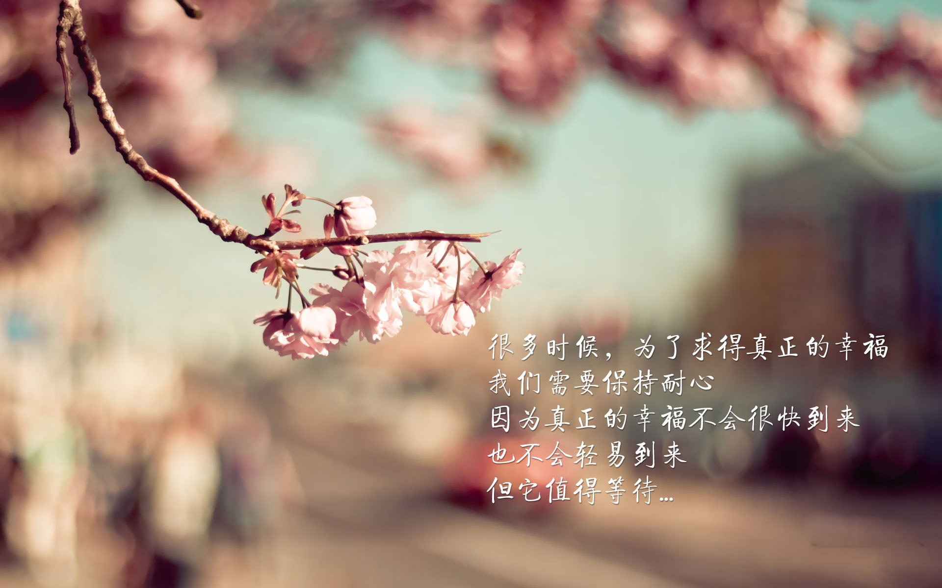 绝地反击，努涅斯风暴席卷波兰防线，阿根廷凭门神神勇在2026世界杯A组焦点战中惊天逆转