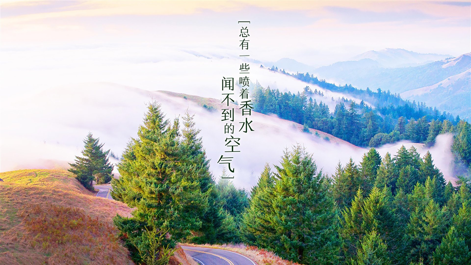 孤峰独峙，2026世界杯H组强强对话，印度完胜突尼斯，迪亚斯闪耀全场