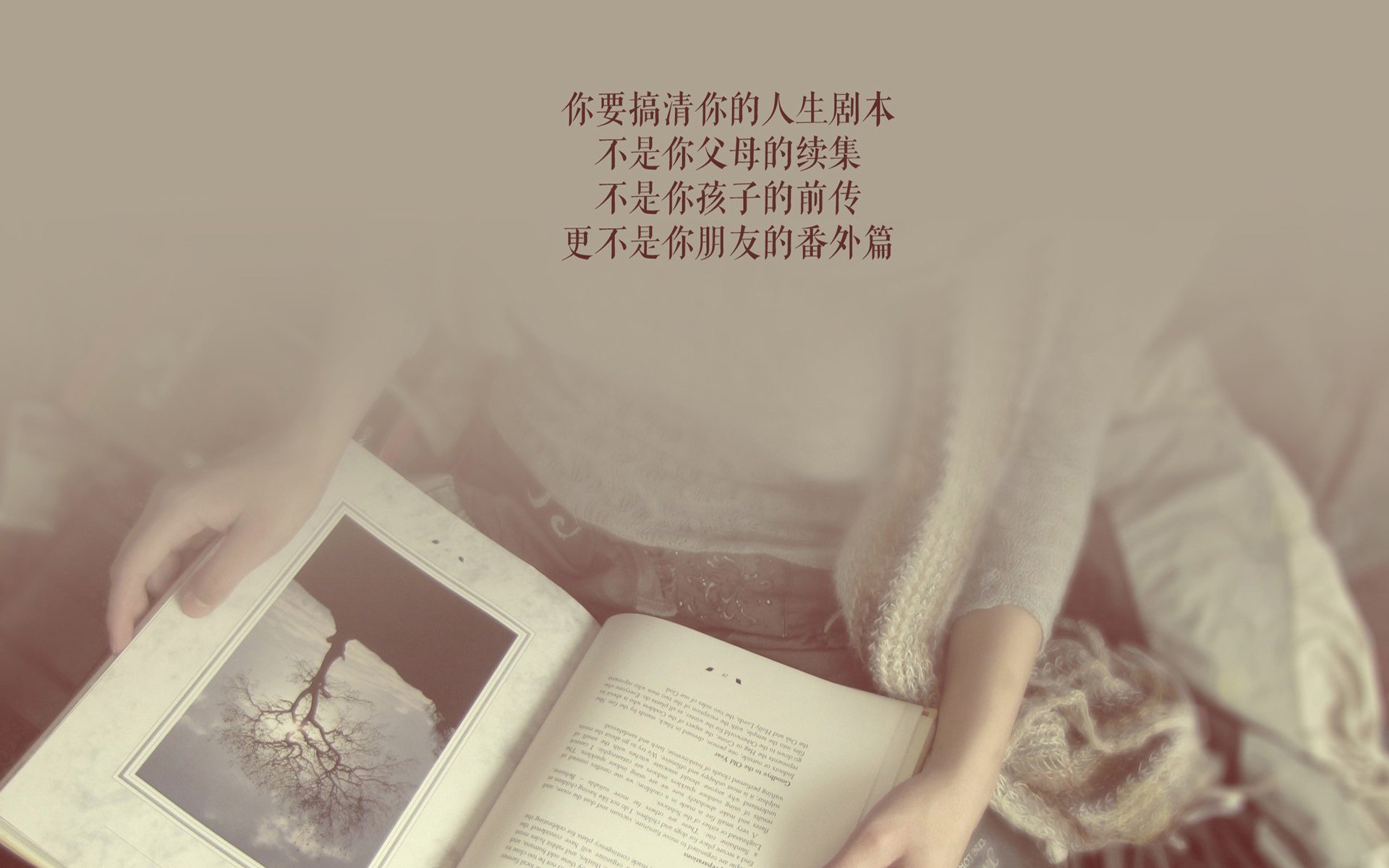 桑巴之刃划破黄昏，2026世界杯E组生死战，贝林厄姆的孤勇与巴西的替补神兵